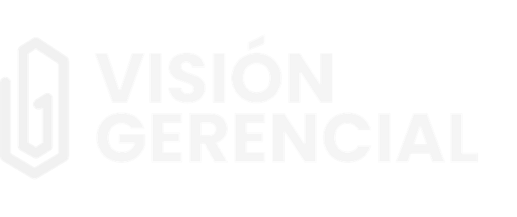 Visión Gerencial